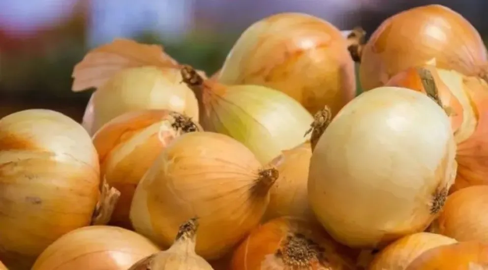 El mercado de la cebolla en un momento de incertidumbre total.