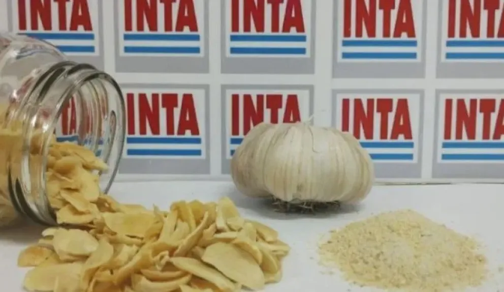 El ajo deshidratado abre un mundo de oportunidades en el valle inferior.