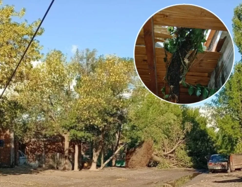 Villa Alberdi y Don Rodolfo son algunos de los barrios más afectados. Fotos LCR