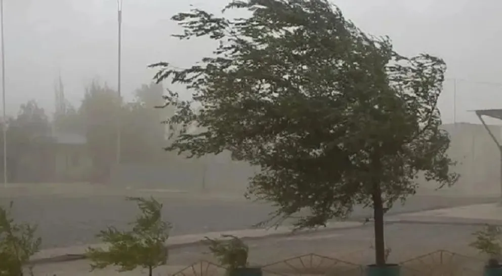 Para las 21 se esperan las ráfagas de mayor intensidad en el Alto Valle. Foto: archivo