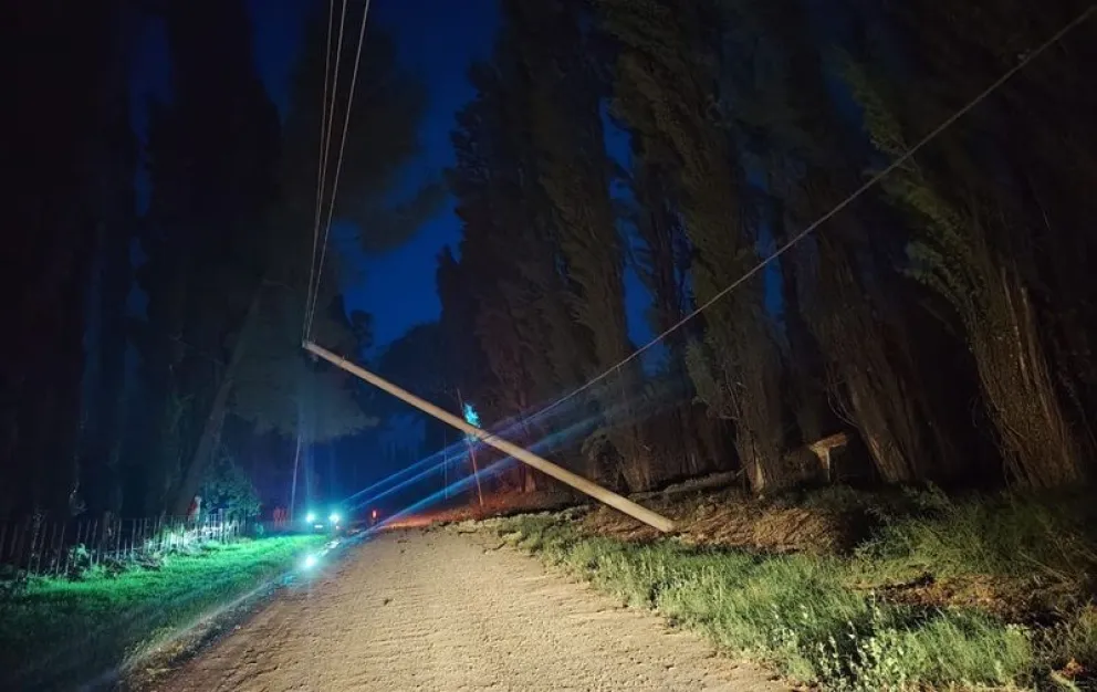 Las fuertes ráfagas provocaron la caída de árboles y ramas que generaron cortes del servicio eléctrico. Foto: gentileza