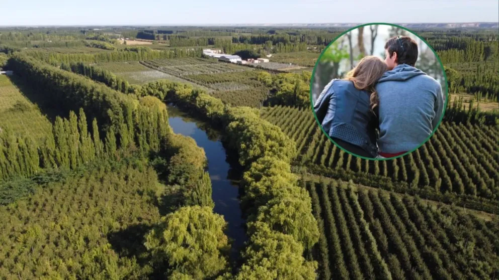 “Es un lugar que pude construir con mucho amor”, comentó Débora mientras nos compartía esta postal del lugar. Foto: gentileza 