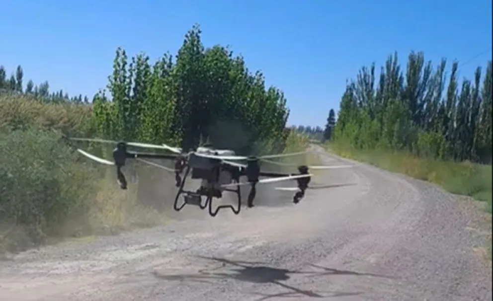Esta semana el Consorcio de Riego comenzó a utilizar un dron para aplicar herbicidas en márgenes y taludes del canal principal de riego. Foto: gentileza