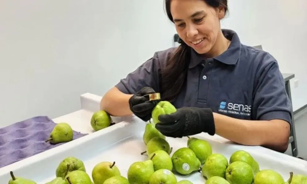 Revisión a pleno. Foto gentileza Senasa.