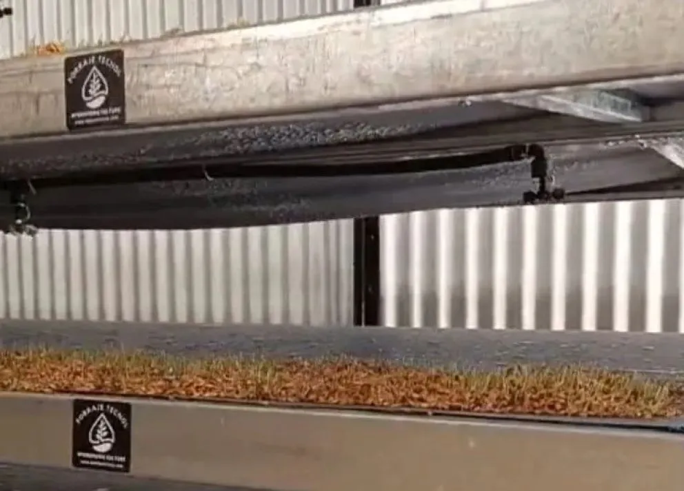 Balogh avanza con su proyecto hidropónico, ahora en Buenos Aires.