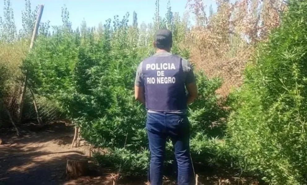 El procedimiento se hizo en horas de la tarde y participaron personas la Comisaría 40 y Toxicomanía. Foto Policía RN.