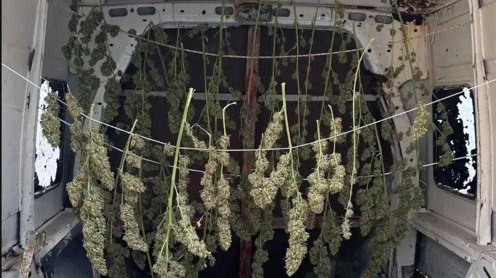 Sucedio gracias a un llamado al 0800-Drogas / imagen gentileza