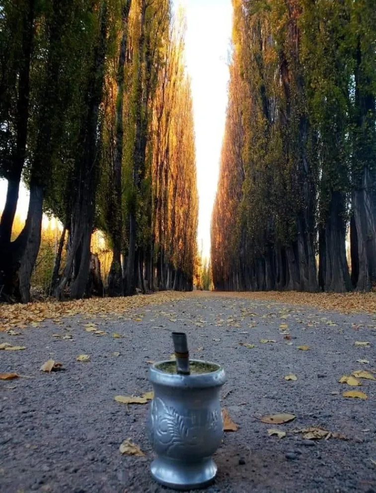 Hoy y los próximos días tendremos días cálidos y con mucha presencia del sol. Foto LCR (archivo). 