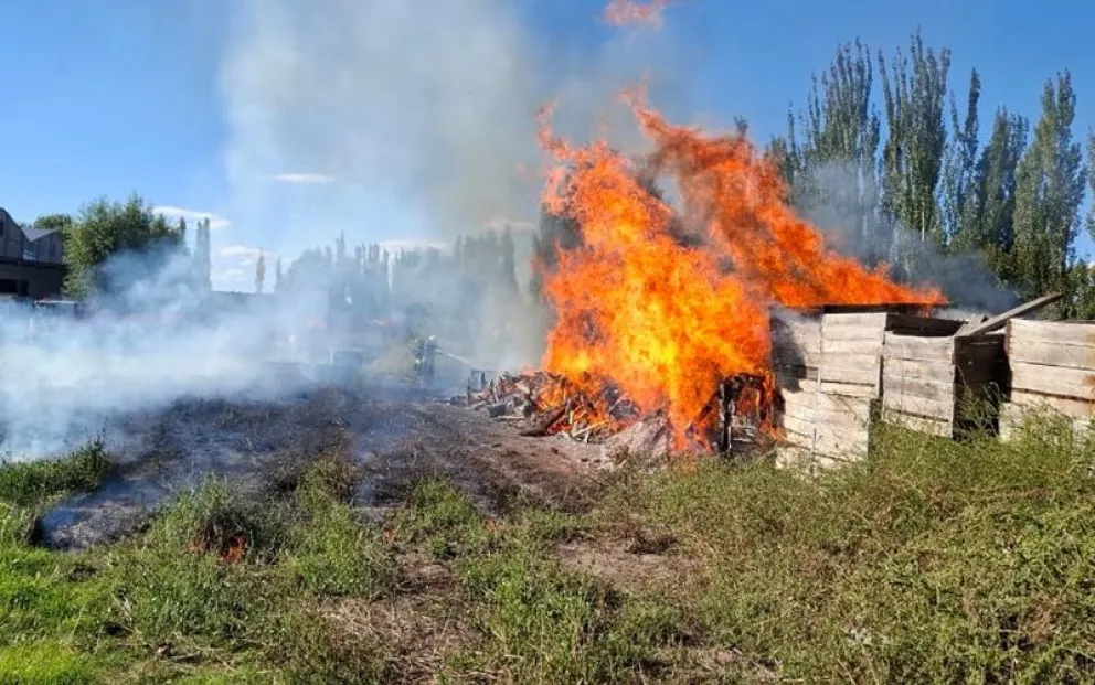El incendio afectó una estiba de bins en desuso ubicados en una playa de maniobras de un empaque de Regina. Foto: gentileza