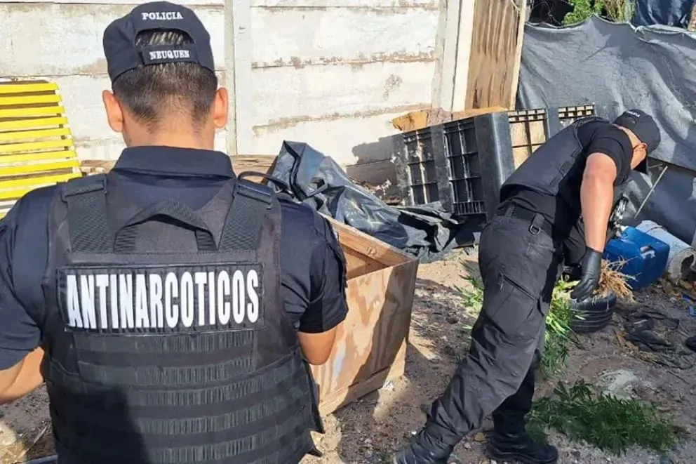 Durante los allanamientos que se realizaron en febrero, la policía secuestró marihuana, cocaína y tres armas de fuego, cargadas y aptas para el disparo. Foto: archivo.