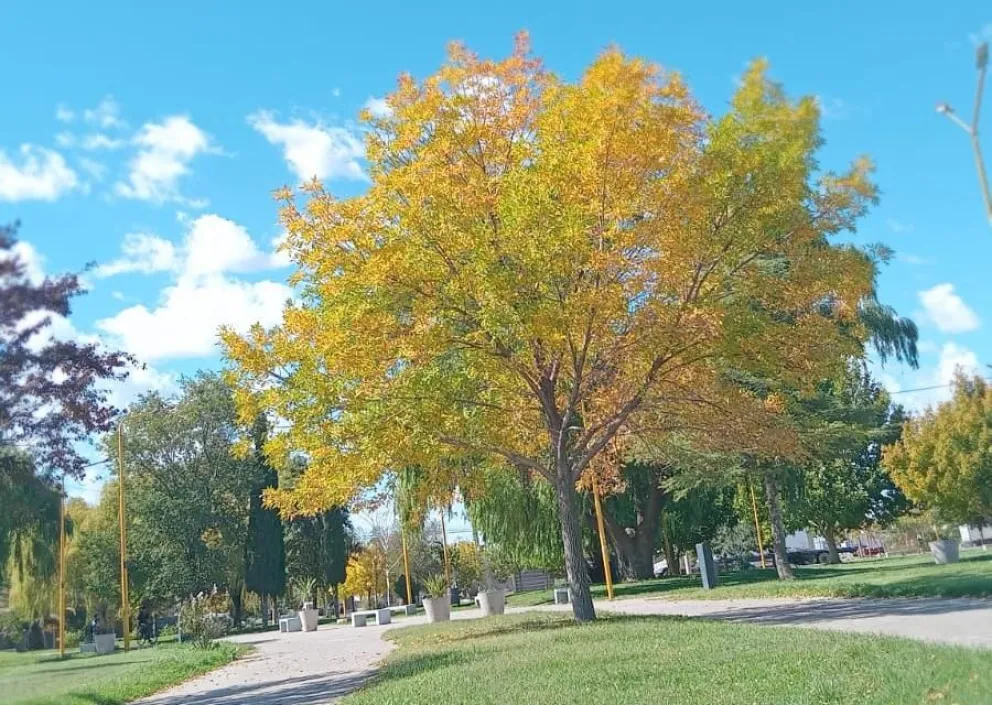 Hoy y mañana sol. Para el domingo se anuncia mayor nubosidad y probables lluvias. Foto gentileza Lautaro.