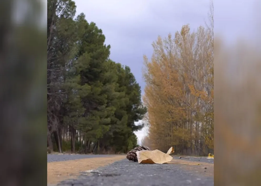 Desde esta tarde y durante toda la semana el sol será protagonista, pese a un comienzo con cielo gris. Foto LCR (archivo).