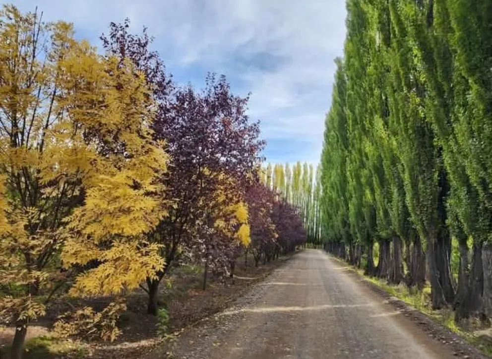 El cielo mayormente gris y la inestabilidad serán protagonistas durante la semana. Foto gentileza Nelson.