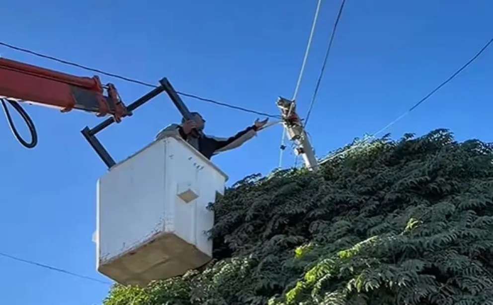 El municipio de Godoy acudió al rescate de una gatita para que pudiera reencontrarse con su dueña. Fotos: gentileza municipio Godoy