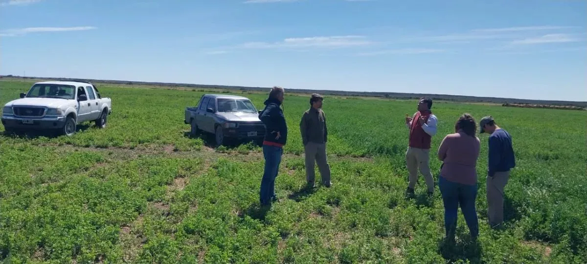 Campo de Guardia Mitre con evaluaci&oacute;n por parte del INTA.