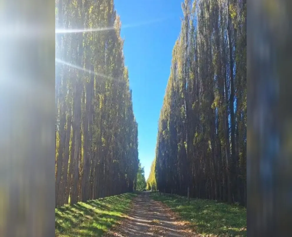 Ho y mañana sol, pero frío y con temperaturas bajo cero el domingo. Foto gentileza Marcela.