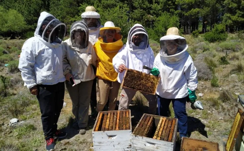 En mayo se dictará el curso para iniciarse en la producción apícola en el Alto Valle. Foto: archivo