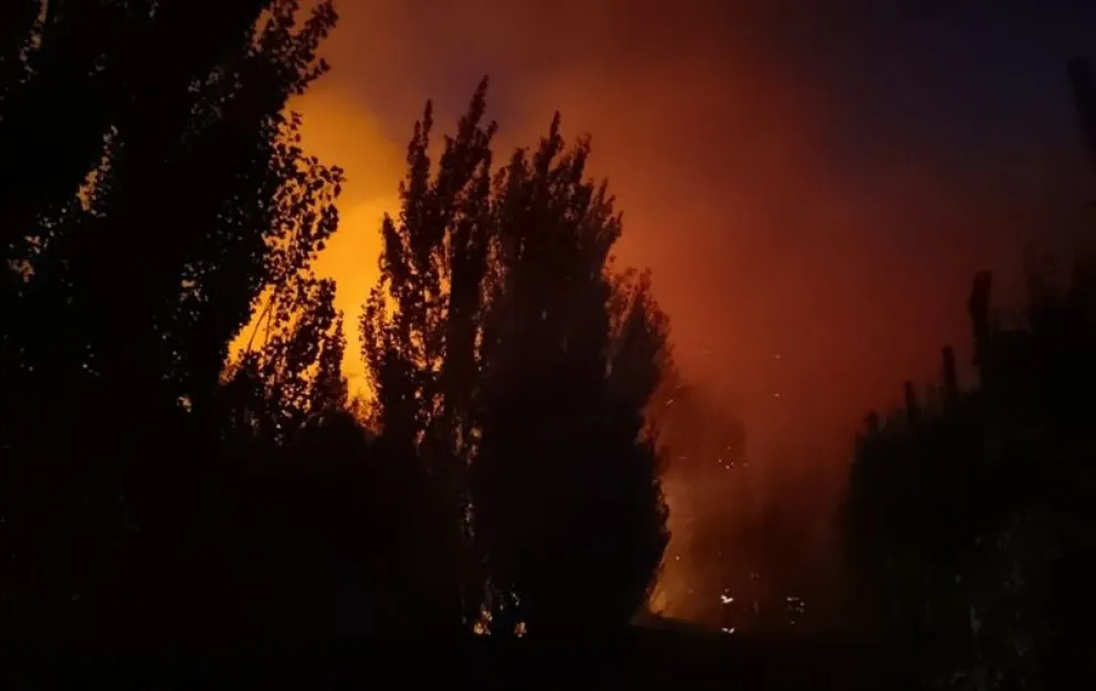 El incendio afecto una chacra en la zona rural de Chichinales y demandó un trabajo de dos horas de bomberos para controlar el fuego. Foto: gentileza
