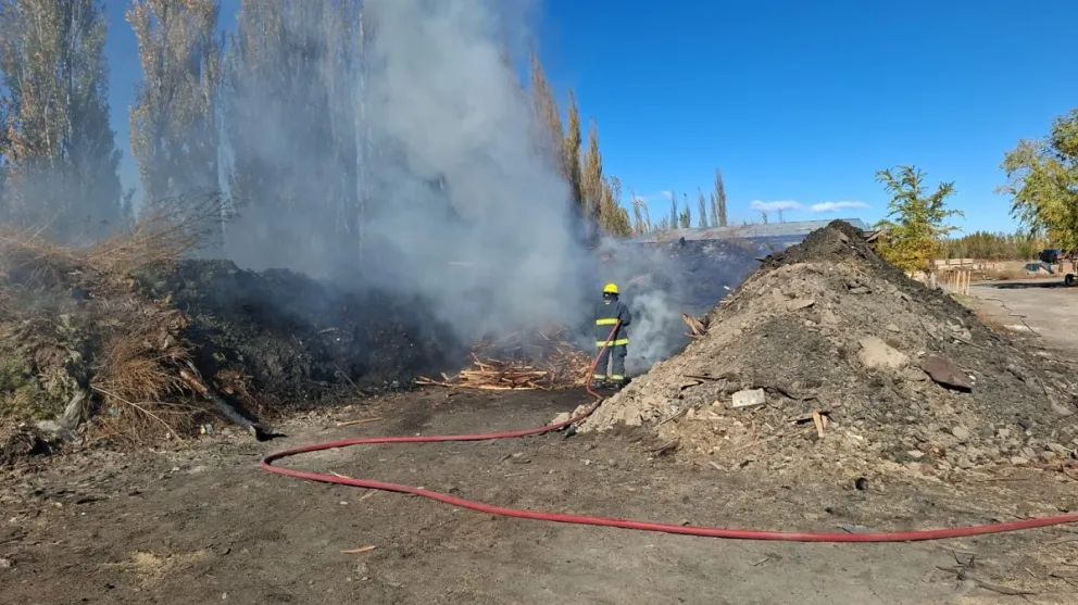El siniestro se produjo en un predio ubicado sobre el Km. Mungai. Foto: Bomberos VR.