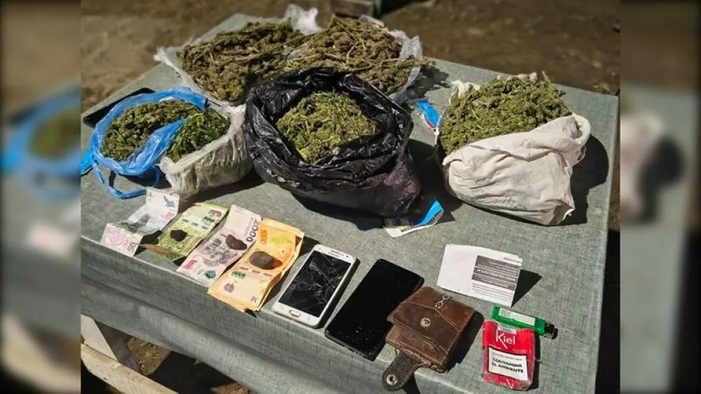 La droga era transportada bajo la modalidad "valijas verdes" en un colectivo que iba a Comodoro Rivadavia. Foto: gentileza Policía de Río Negro