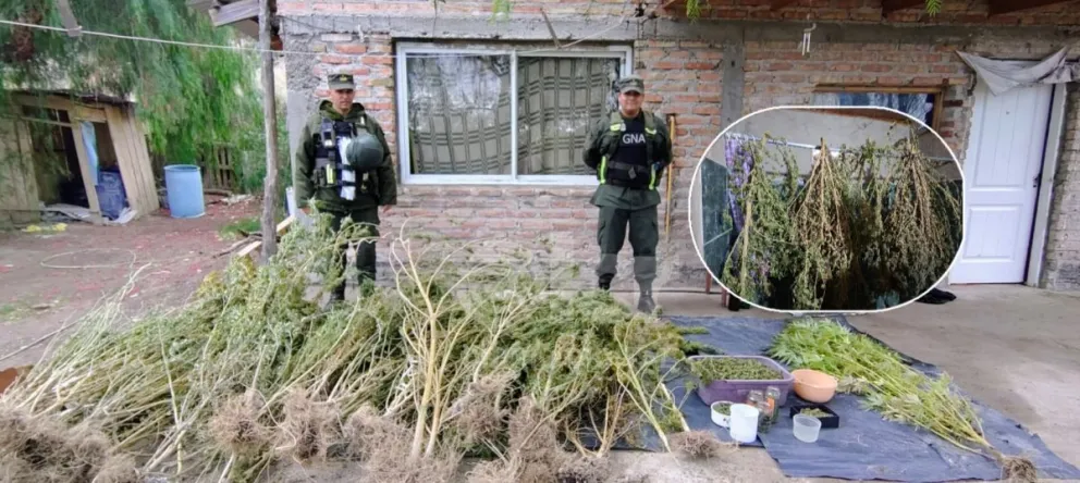Tres fueron los domicilios allanados. Foto: Gendarmería Nacional.