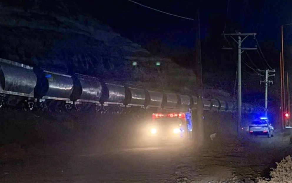 La formación del tren de cargas arrolló a un hombre que murió frente al barrio El Sauce en el ingreso oeste a Villa Regina. Foto: gentileza