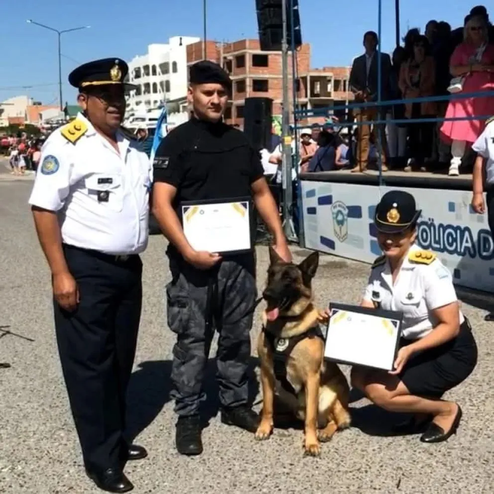 Soto, su adiestrador, dialogó con LCR.