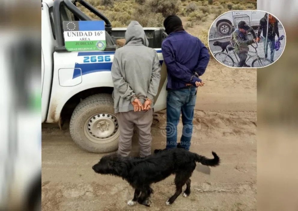 El robo ocurrió el domingo y la detención se produjo el lunes. Foto Policía RN.