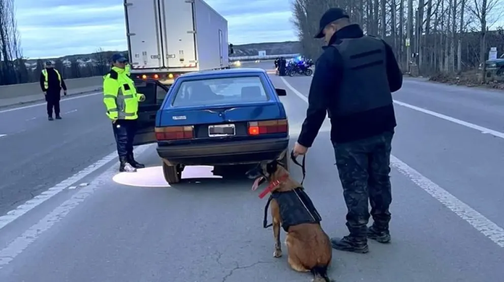 Más de medio centenar de personas y vehículos fueron verificados en operativos que desplegó la policía entre Huergo y Regina. Foto: gentileza