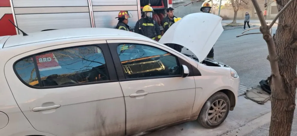 Una dotación con seis bomberos concurrieron al lugar para sofocar el siniestro. Foto gentileza.