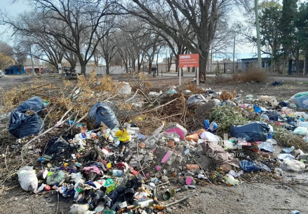 Desde hace tiempo se arroja todo tipo de residuos en calle Gobernador Castello y 2 de Abril. Foto gentileza.