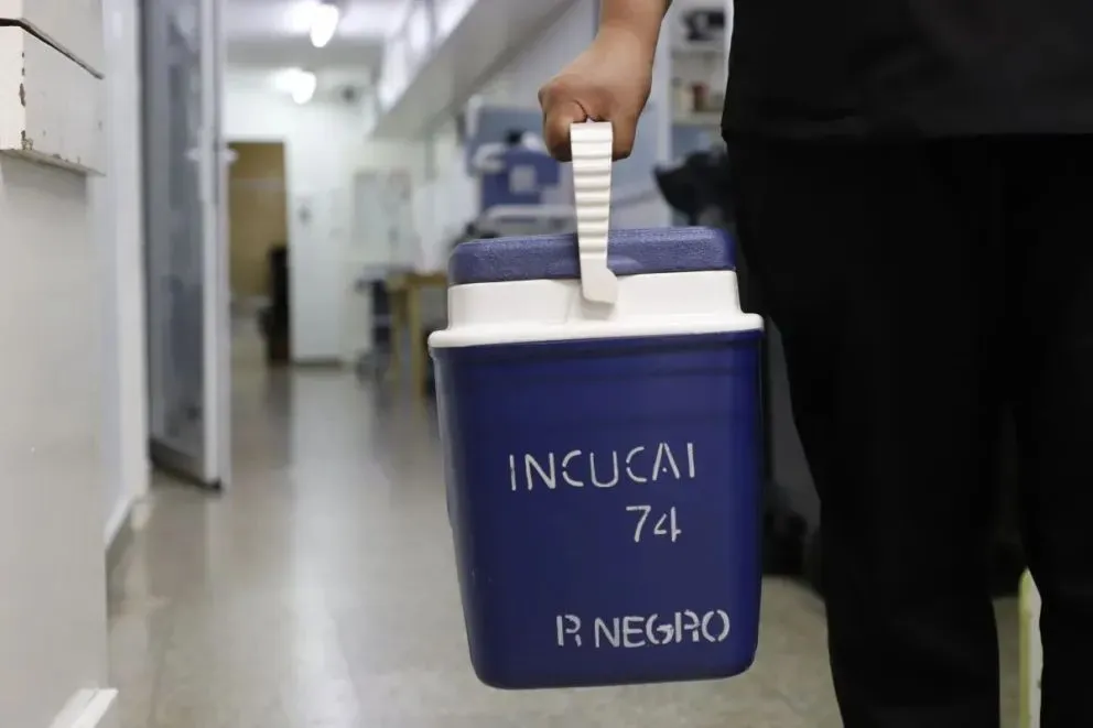 El equipo de la Unidad Hospitalaria de Procuración llevó adelante las tareas / Foto: Gobierno de Río Negro