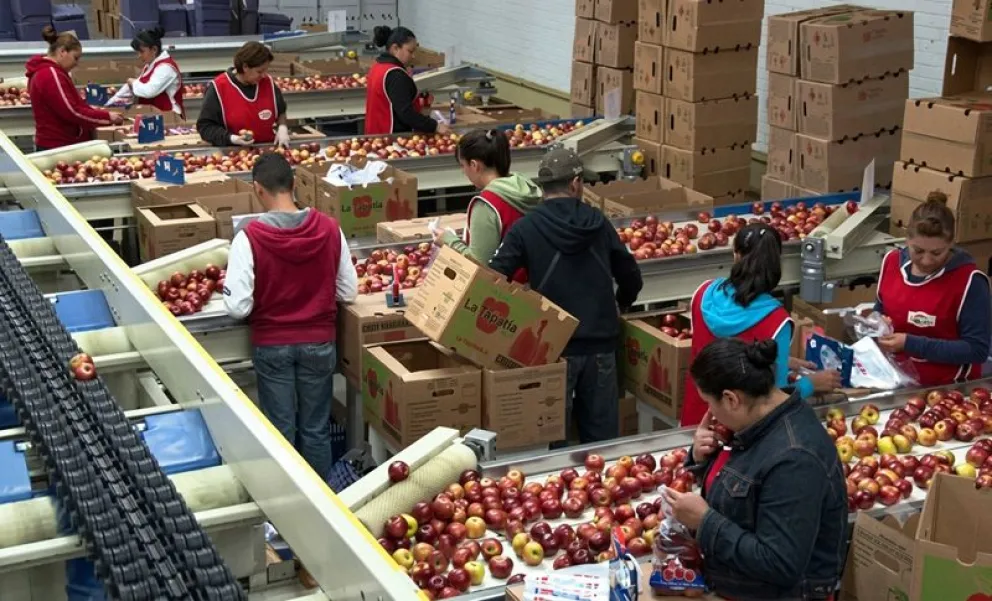 El Sindicato de la Fruta pidió la apertura de las paritarias de postemporada. Foto: archivo