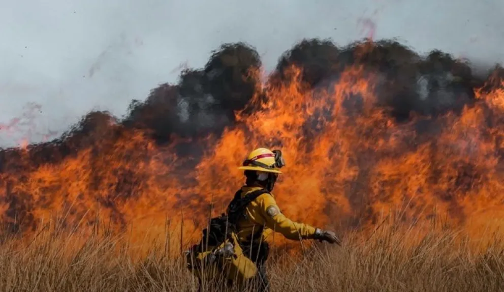 La quema de los restos de poda puede derivar en un incendio rural, por lo que bomberos de Chichinales realizó recomendaciones de prevención. Foto: gentileza