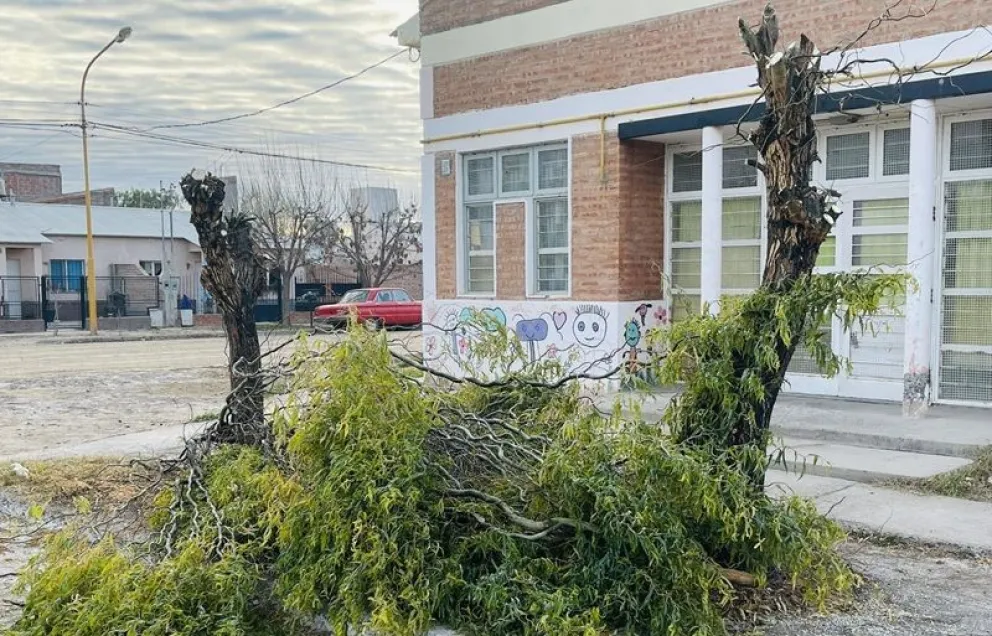 Hasta el 31 de agosto los restos de poda que dejen los vecinos de Huergo serán levantados y trasladados por el municipio. Foto: archivo