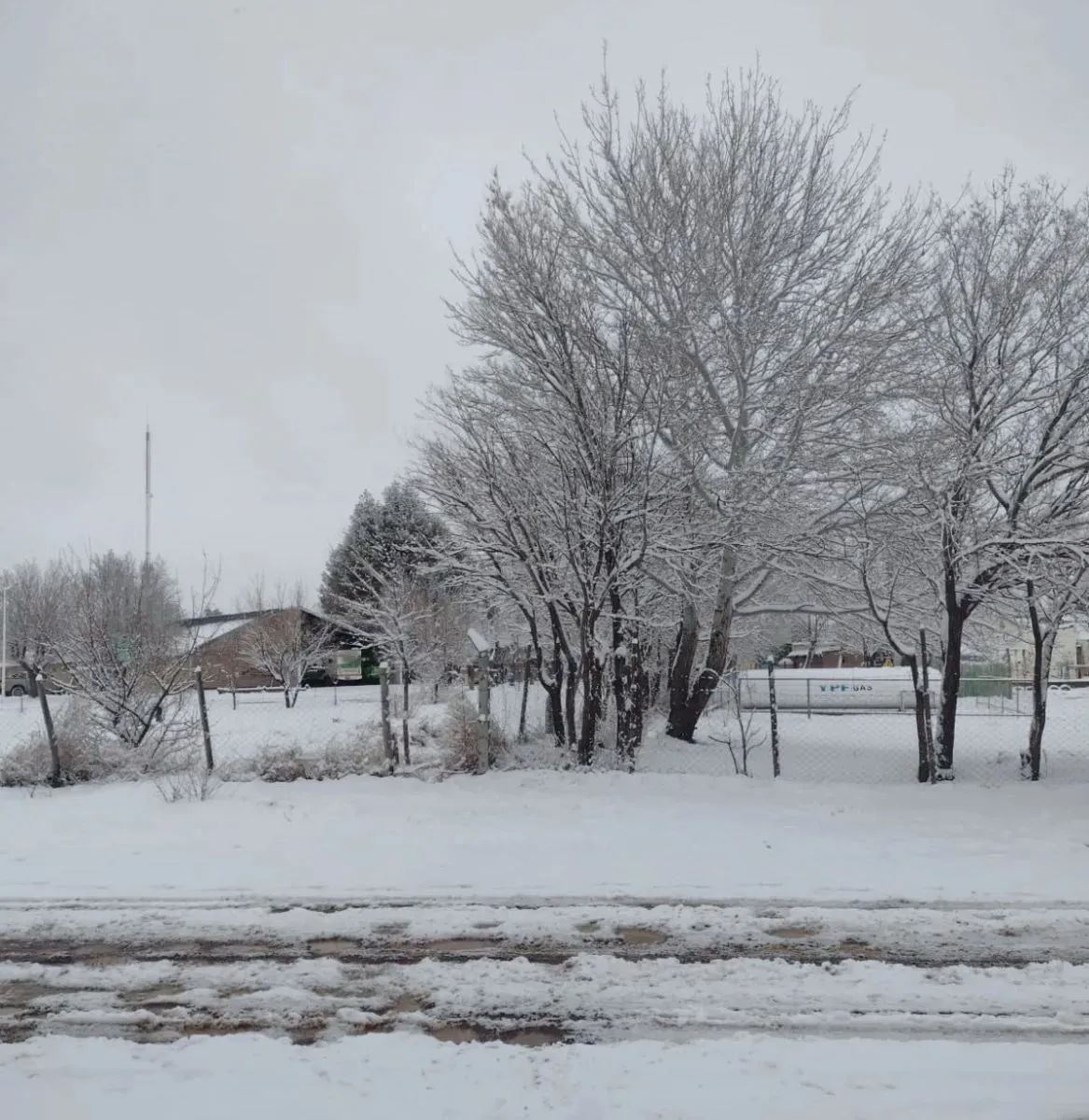 La nieve cayó durante la noche del martes y madrugada del miércoles. Foto: gentileza