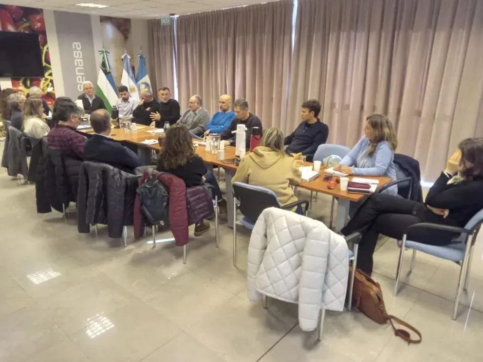 Productores, organismos sanitarios y entidades del sector trabajan en una nueva estrategia para controlar la carpocapsa y otras plagas que afectan a la producción frutícola regional. Foto: gentileza.