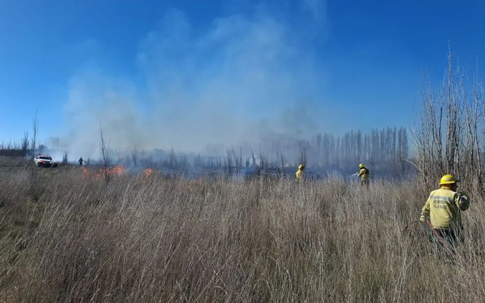 Cerca de 20 bomberos y cuatro móviles están interviniendo en dos incendios forestales que comenzaron en la tarde de hoy. Foto: gentileza