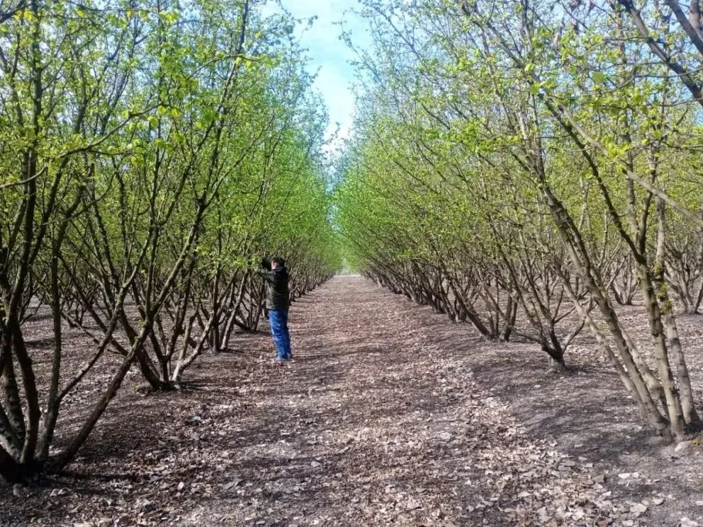 Recorrida por las chacras de parte de técnicos del INTA. Foto gentileza.