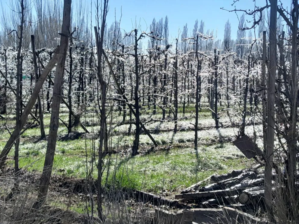 Tendremos una semana mayormente con clima primaveral, sin heladas y algo de viento. Foto Cristian Córdoba