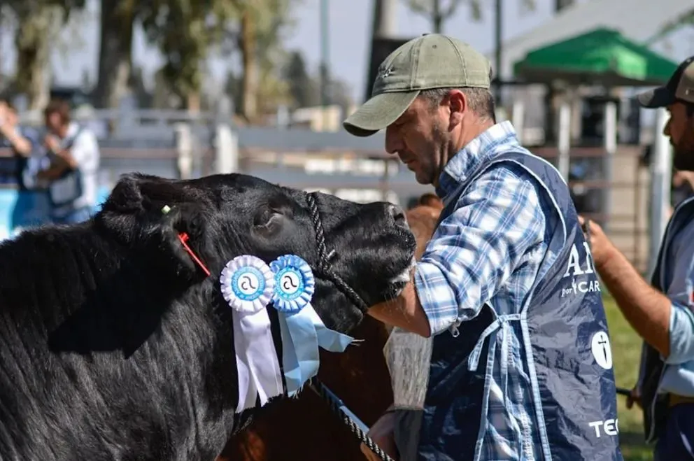 La tercera parte del circuito de primavera de Río Negro, la 37° Exposición Ganadera, Comercial e Industrial de General Conesa. Fotos Emanuel Mirenghi para NoticiasNet.