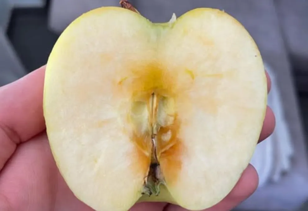 La jornada de capacitación permitirá detectar distintas enfermedades que pueden afectar a las frutas almacenadas en cámaras frigoríficas. Foto: archivo