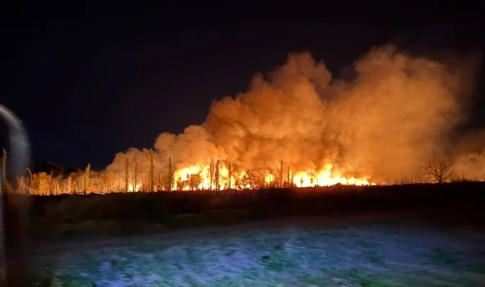 Los incendios afectaron pastos, alamedas y plantaciones frutales durante la madrugada de este viernes. Foto: gentileza