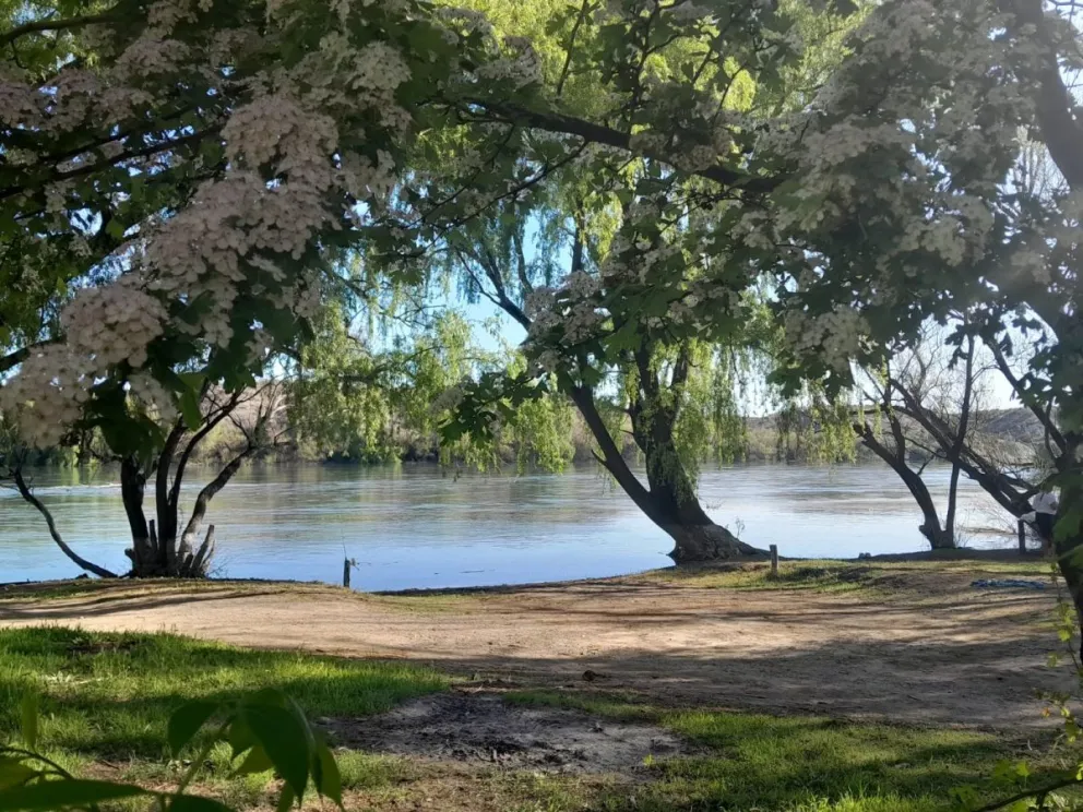 Domingo agradable, ideal para estar al aire libre y la zona rural de Regina lindante al río Negro es un buena opción. Foto Cristian Córdoba