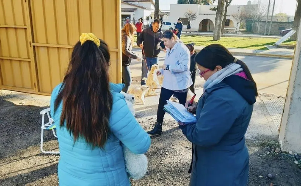 La campaña de vacunación antirrábica para perros y gatos se hará el martes en el escenario del predio del ferrocarril. Foto: archivo