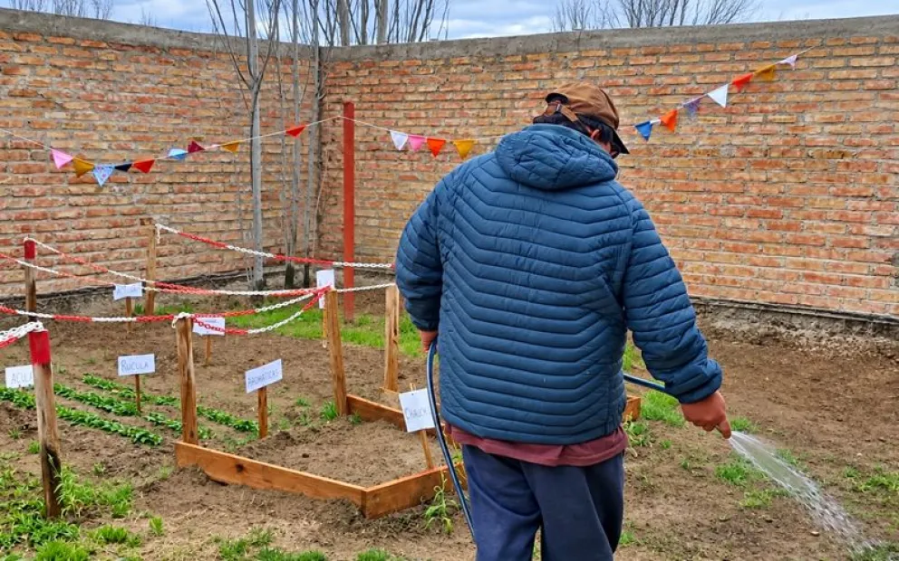 El programa apunta a ayudar a la economía familiar a través del cultivo de verduras y hortalizas para consumir en el hogar. Foto: gentileza
