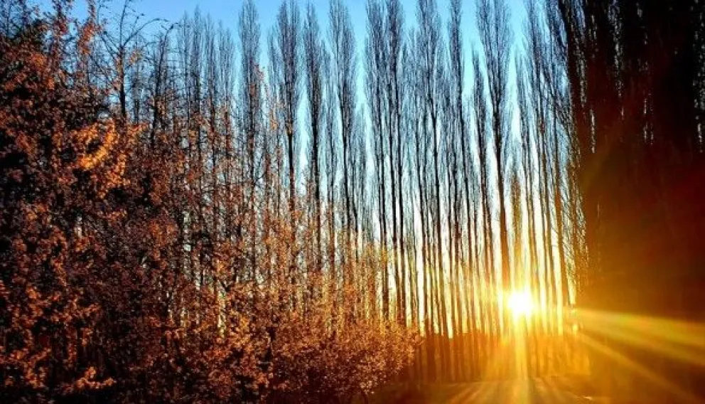 Hoy sol y buena temperatura. A partir de mañana cambian las condiciones. Foto Nelson