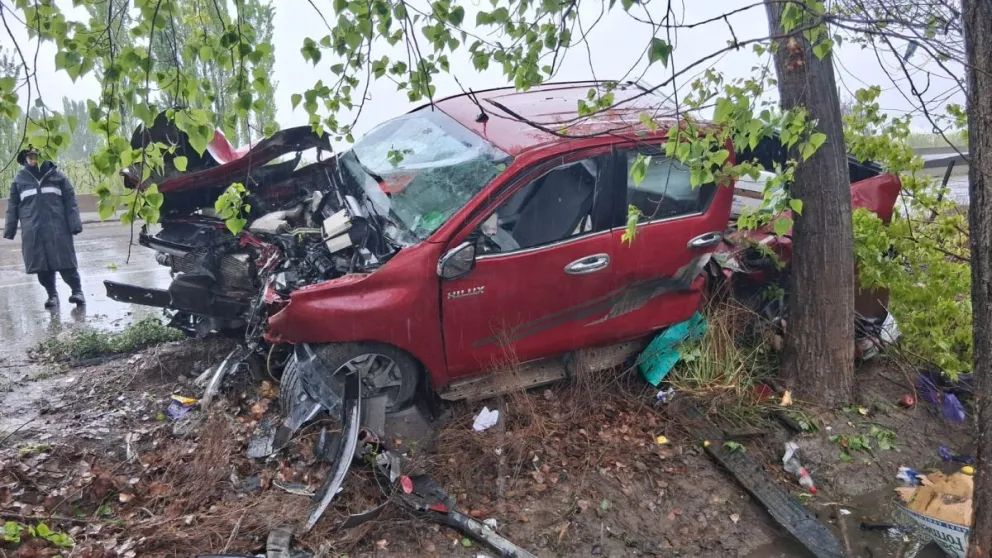 El despiste y posterior vuelco ocurrió a las 8. La camioneta circulaba hacia Chimpay e impactó contra un árbol en la colectora. Foto Policía RN. 
