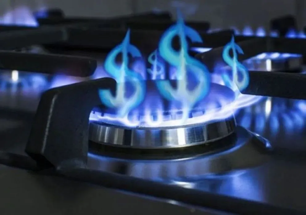 El legislador reclama explicaciones a los referentes afines al gobierno nacional, ante una inminente suba en el servicio de gas. (Foto: web)