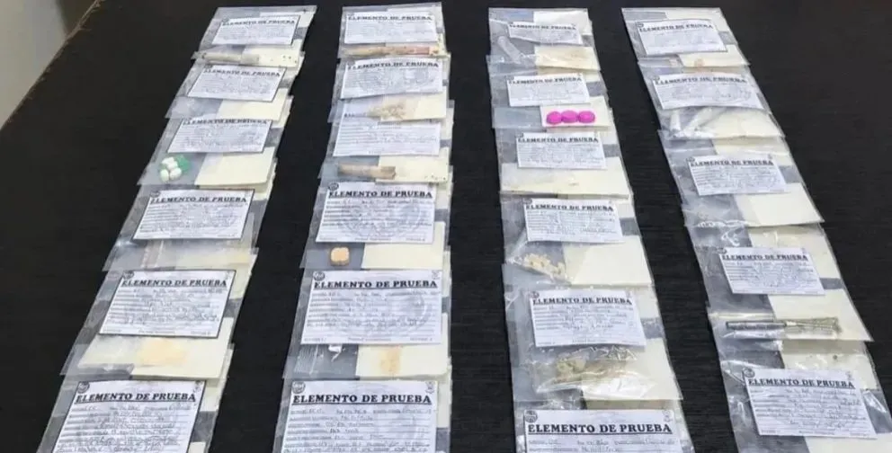 Los hallazgos fueron informados al Ministerio Público Fiscal de General Roca/ imagen gentileza